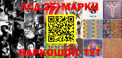 крисы Новодвинск
