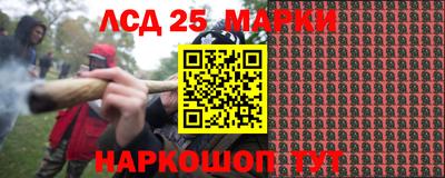 крисы Новодвинск