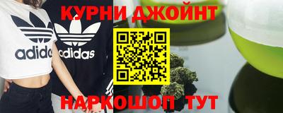 крисы Новодвинск
